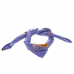 Hermes Blue Les Confessions Printed Silk Pocket Square For Men