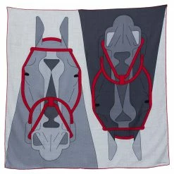 Hermes Grey & Red Tete-a-Tete Equestre Cashmere & Silk Scarf For Women