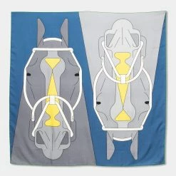 Hermes Hermès Blue & Grey Tête-à-Tête Equestre Cashmere & Silk Scarf For Women
