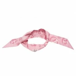 Hermes Pink Chaine D'Ancre Print Silk Twilly Neck Scarf For Women