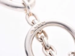 Hermes Silver Hermes Shane Dunkle Long Necklace For Women -Deals Hermes Store luxury women hermes used fine jewelry p230187 005