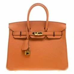 Hermes Orange Togo Leather Gold Hardware Birkin 25 Bag For Women