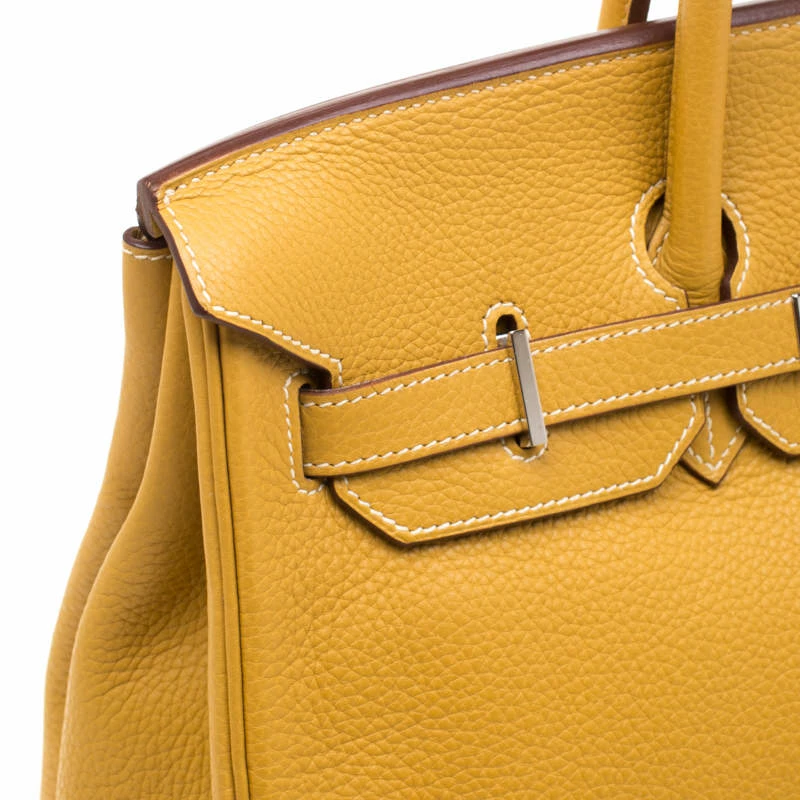 Hermes Soleil Togo Leather Palladium Hardware Birkin 35 Bag For Women 16 Hermes Soleil Togo Leather Palladium Hardware Birkin 35 Bag For Women - Image 14