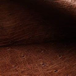 Hermes Noisette Ostrich Leather Bearn Gusset Wallet For Women -Deals Hermes Store luxury women hermes used handbags p501336 013