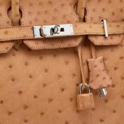 Hermes Tabac Camel Ostrich Palladium Plated Birkin 30 Bag For Women -Deals Hermes Store luxury women hermes used handbags p608568 013
