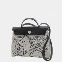 Hermes Ale Bag Zip 31 Pegasus Pop Toile Ash Black Y Engraved Shoulder For Women