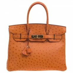 Hermes Tangerine Ostrich Leather Gold Hardware Birkin 30 Bag For Women